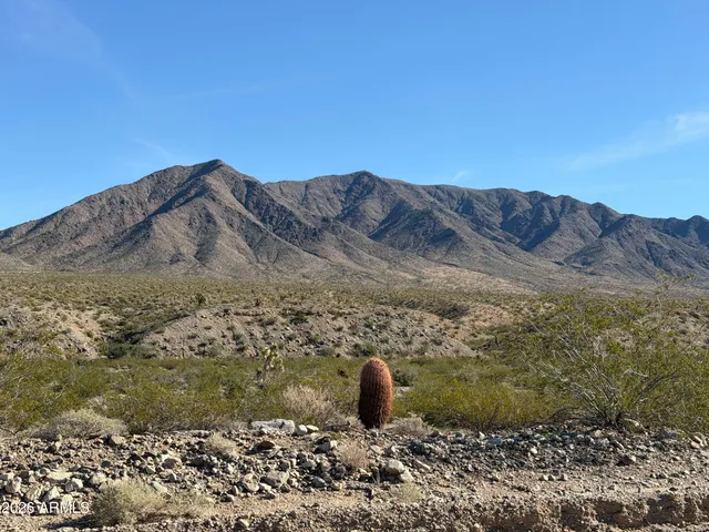 a view of a backyard with mountain