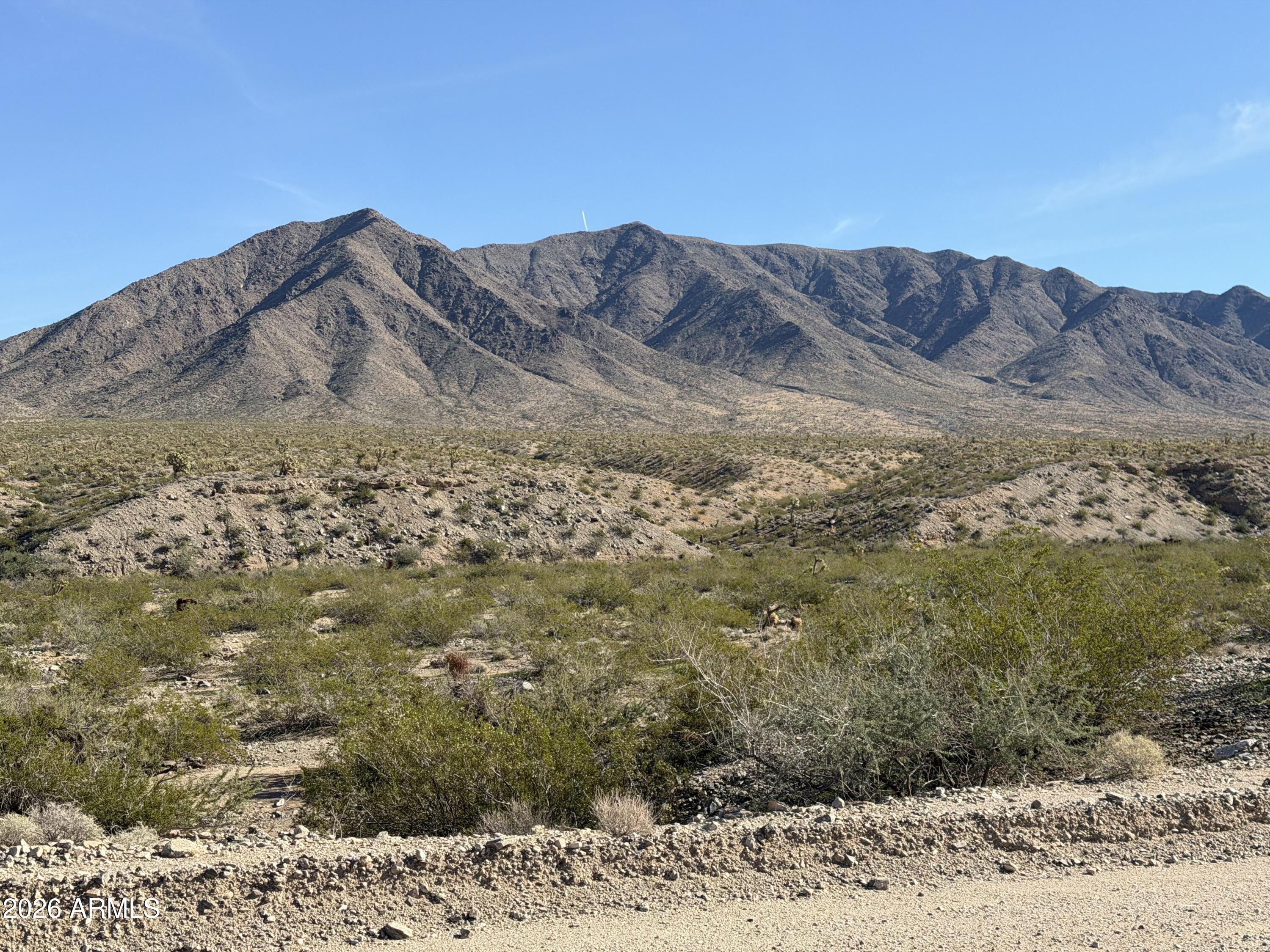 0 Bayleaf Drive Meadview, AZ 86444 - Photo 9 of 12 a view of a large mountain with trees in the background