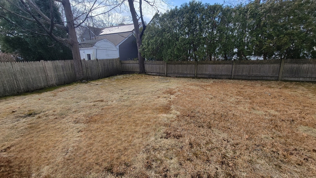 31 Plymouth Road Needham, MA 02492 - Photo 19 of 22 a view of backyard with tree