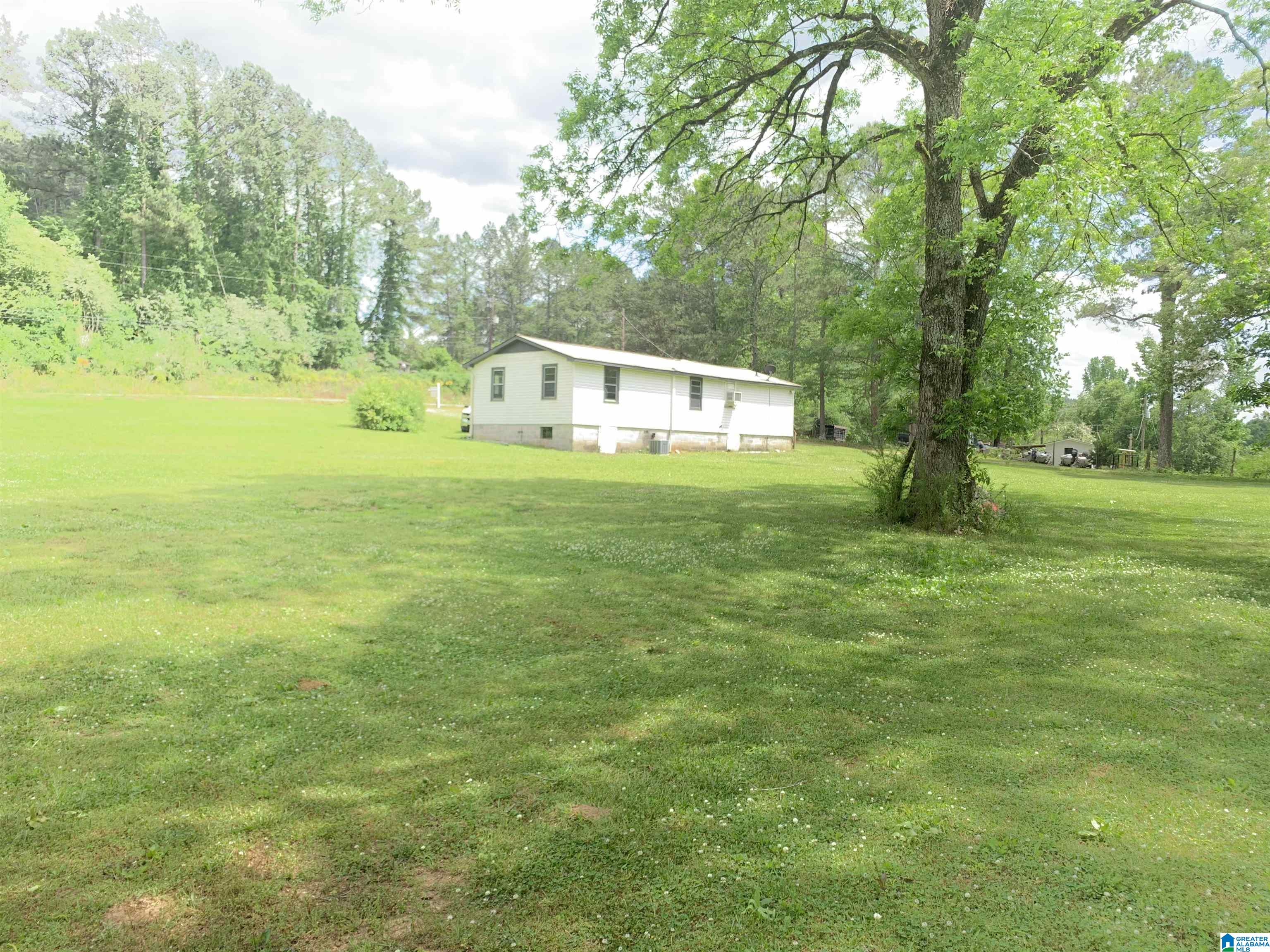 3109 Mud Creek Road Adger, AL 35006 - Photo 3 of 23