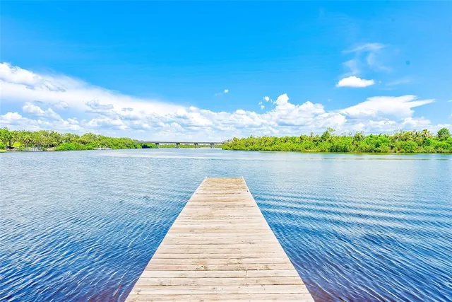 a view of a park with large trees