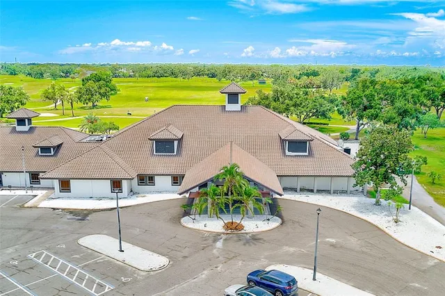 a view of plant in a garden