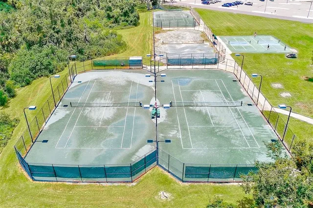 a view of a garden with plants and large trees