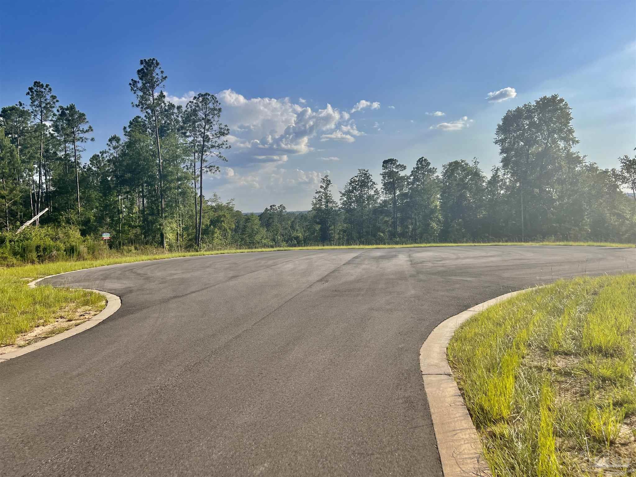 Lot 23-bs Buffalo Ridge Road Pace, FL 32571 - Photo 3 of 35