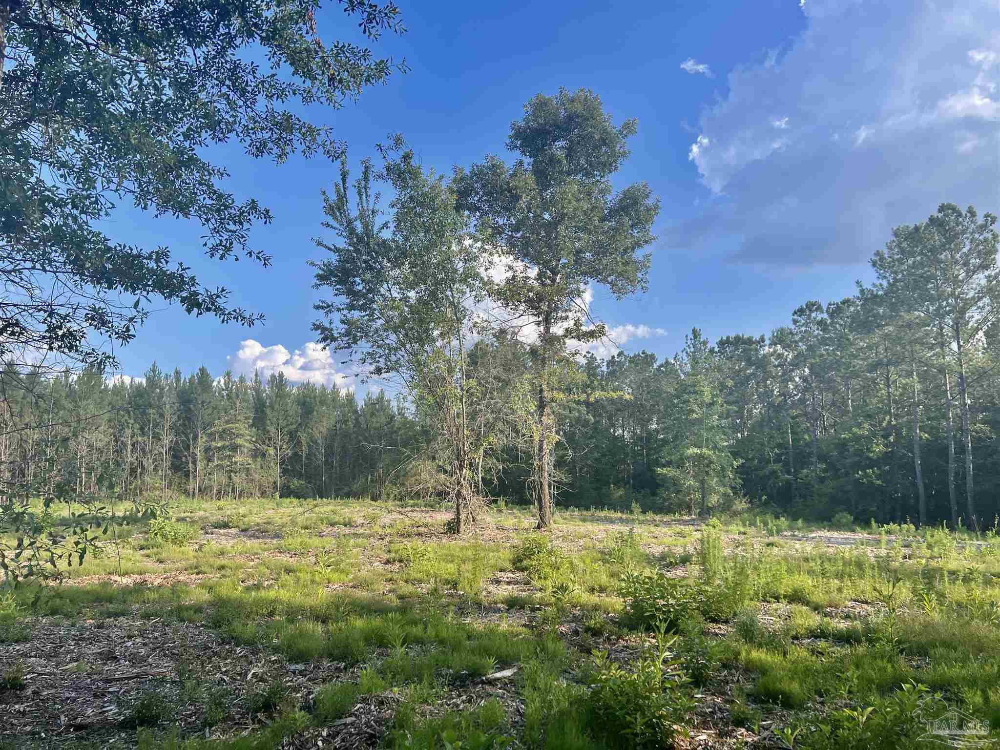 Lot 23-bs Buffalo Ridge Road Pace, FL 32571 - Photo 8 of 35