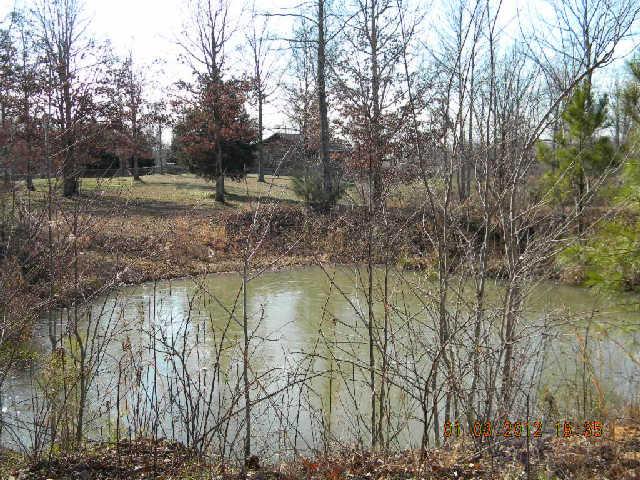 1429 Roy Haggard Road Waynesboro, TN 38485 - Photo 7 of 19 Gallery Image 7