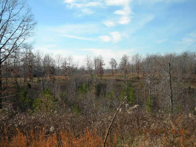 1429 Roy Haggard Road Waynesboro, TN 38485 - Photo 8 of 19 Gallery Image 8