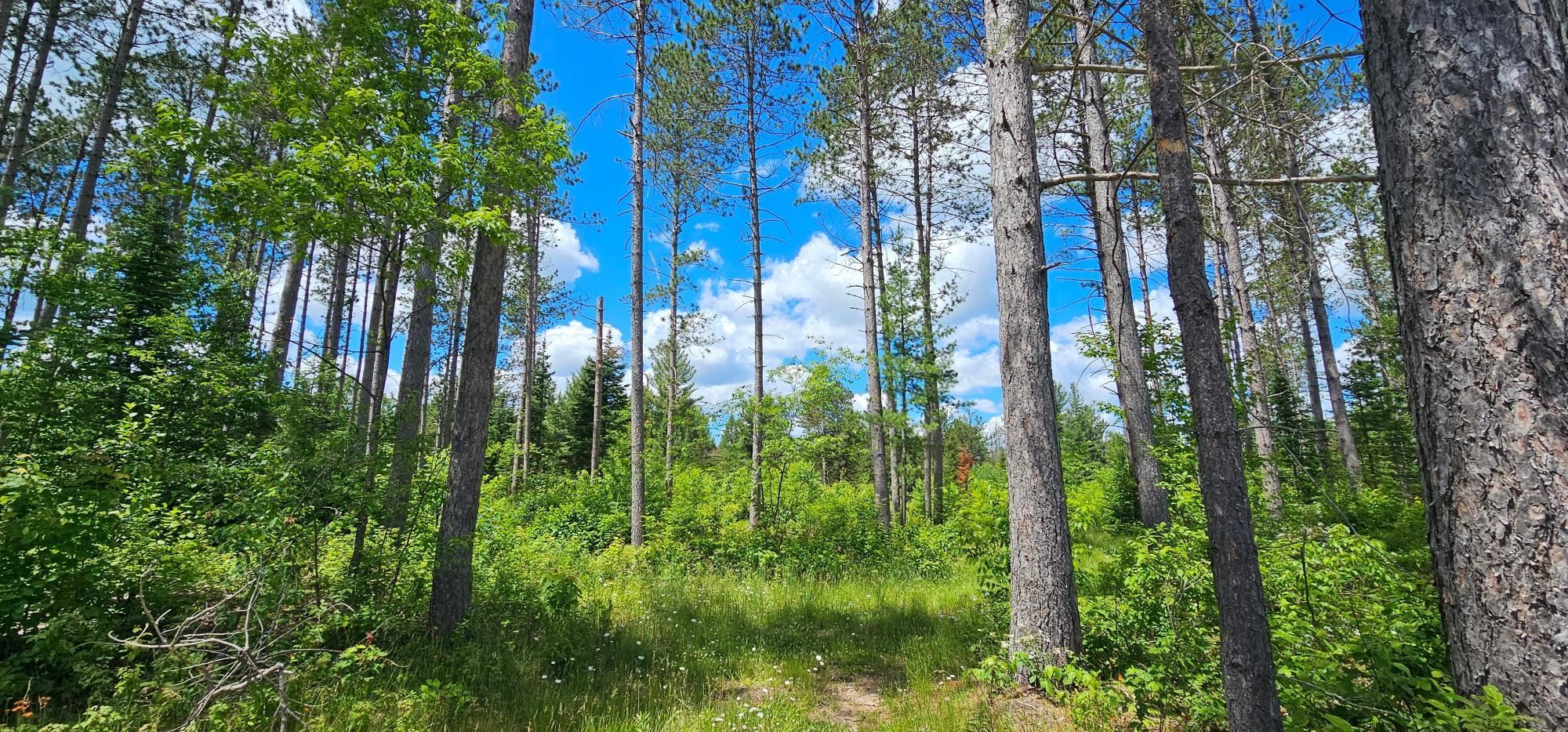 Lot 3 Baade Road Rhinelander, WI 54501 - Photo 8 of 9