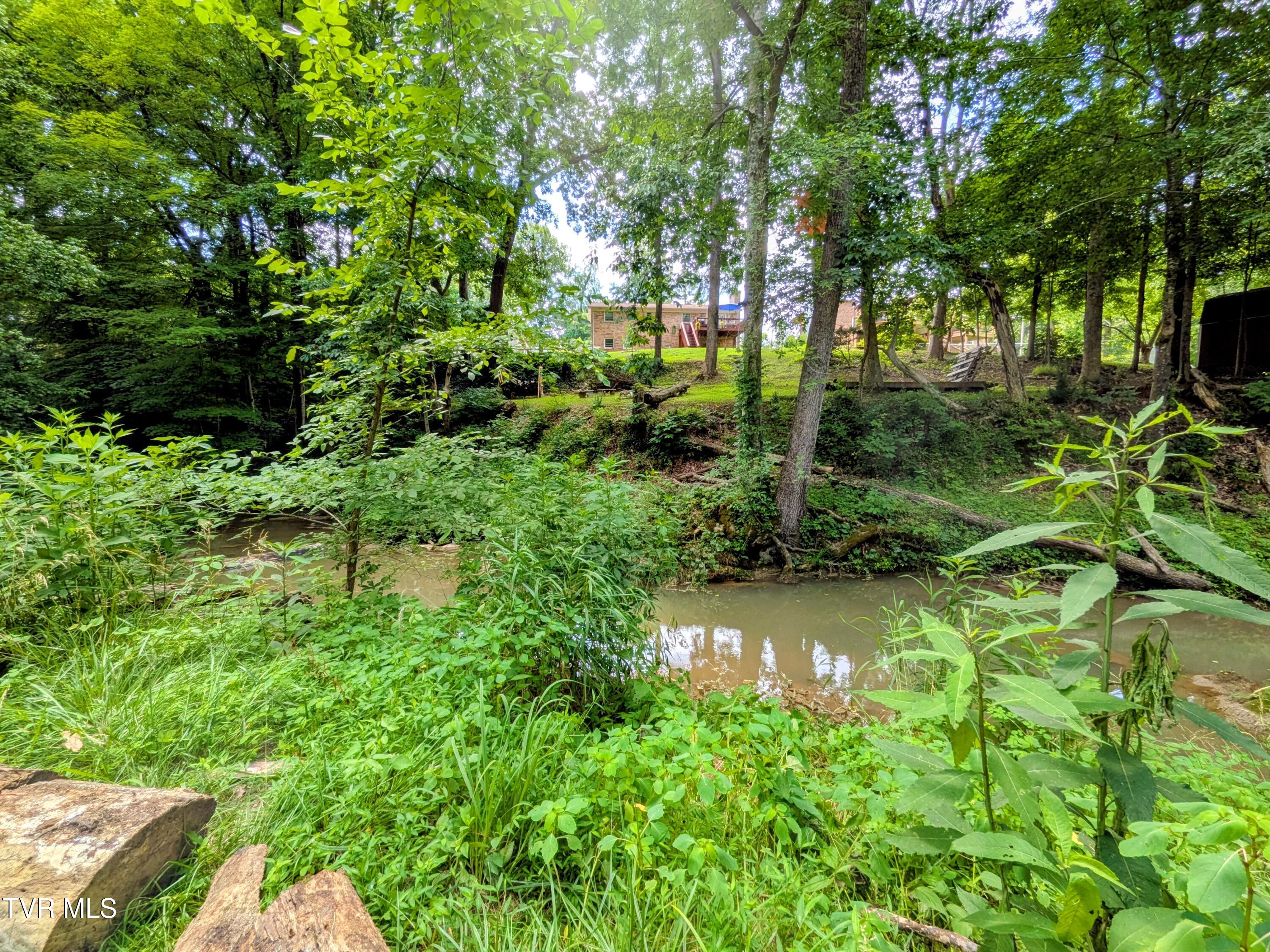 1129 Jackson Hollow Road Kingsport, TN 37663 - Photo 57 of 59 Backyard(3)
