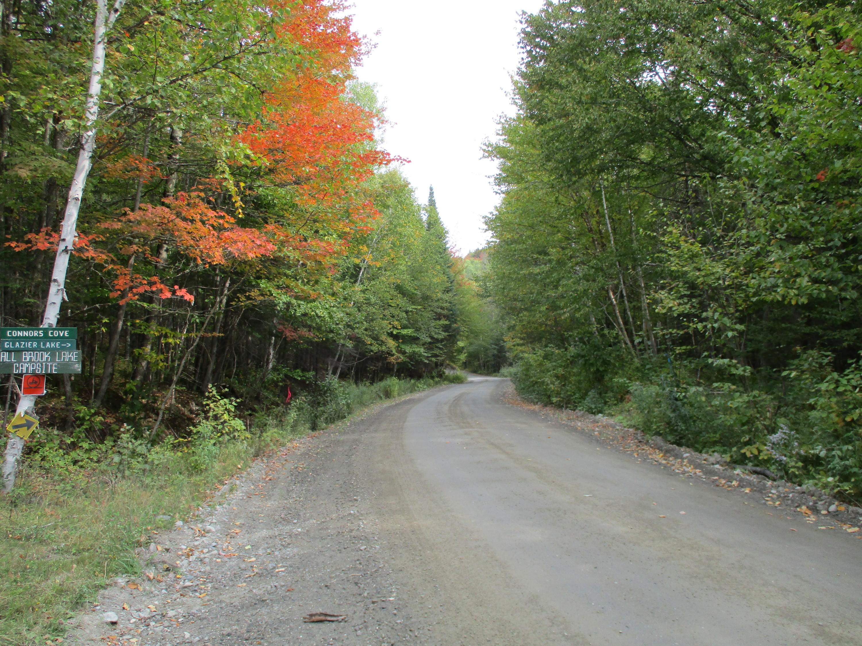 60 Little Black Road St. Francis, ME 04774 - Photo 22 of 35 IMG_1253