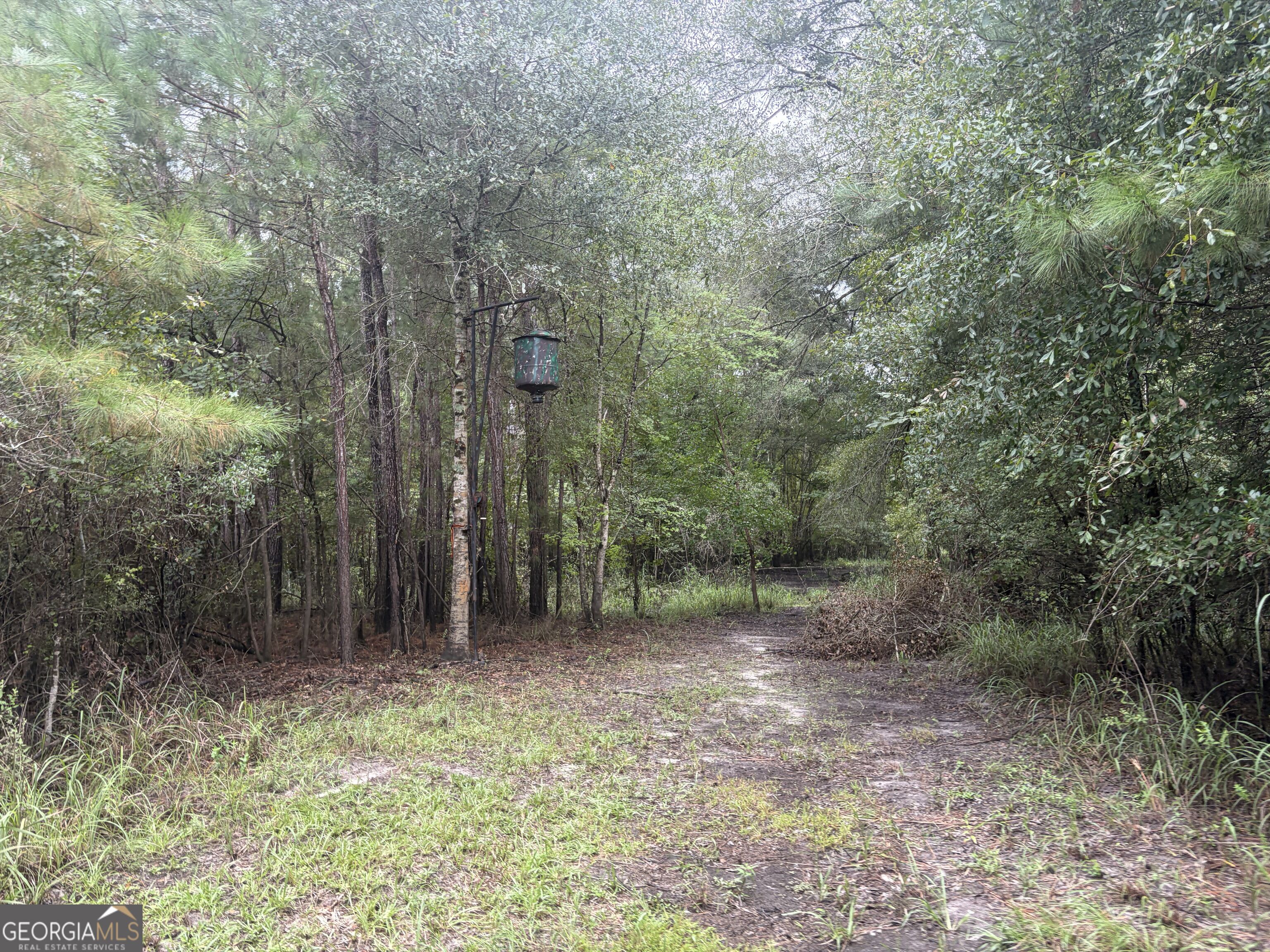 0 Jamestown Road Waycross, GA 31503 - Photo 79 of 92 Gallery Image 79