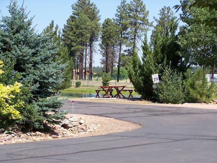 2723 Whiskey Road, Unit 143 Overgaard, AZ 85933 - Photo 4 of 6 FROM LOT TO POND