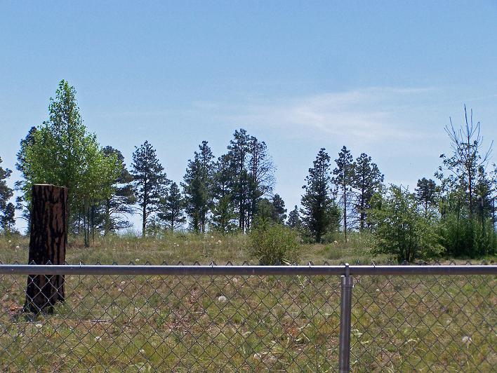 2723 Whiskey Road, Unit 143 Overgaard, AZ 85933 - Photo 6 of 6 SHOWING BEAR COUNTRY ESTATES FROM LOT