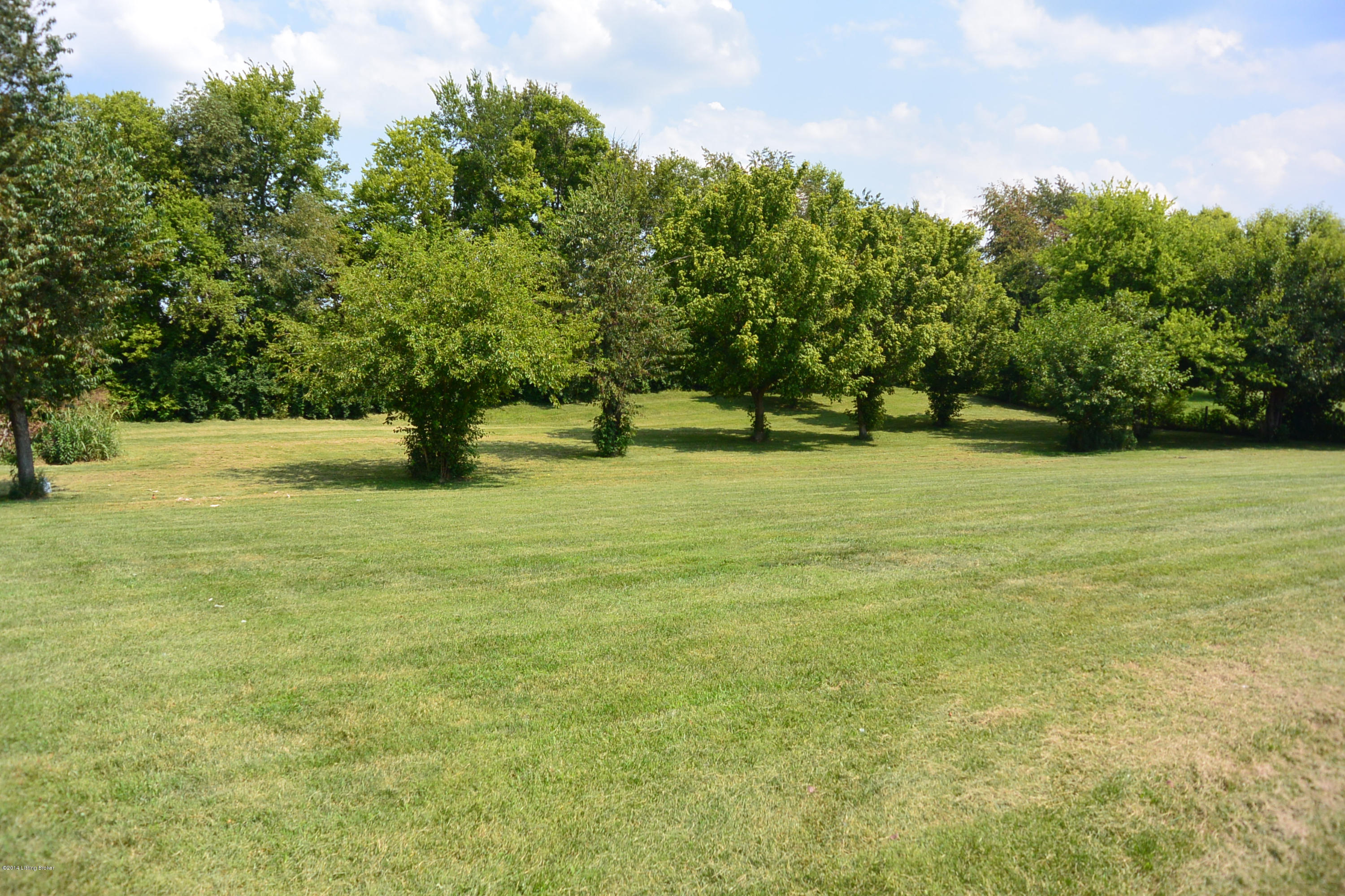 1007.5 Caney Fork Road Bardstown, KY 40004 - Photo 5 of 21 Back Yard