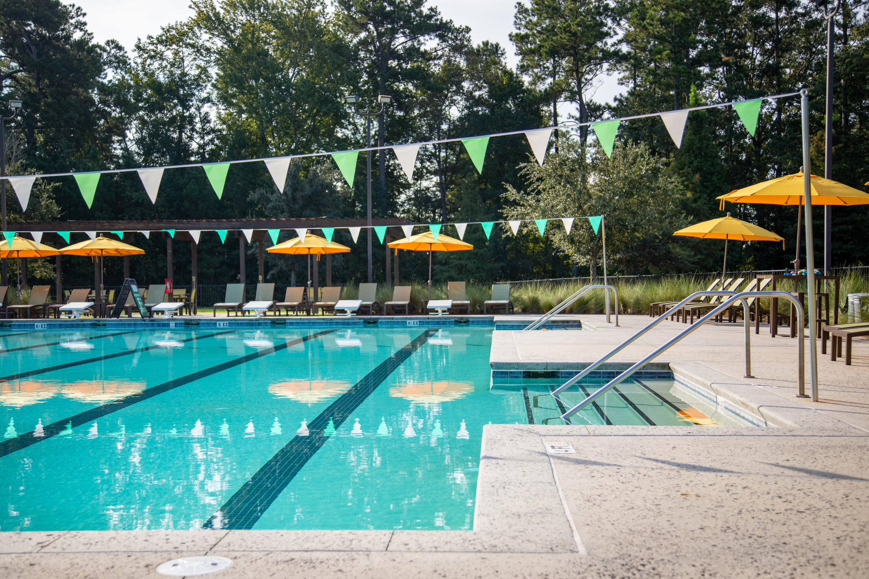 281 Denham Street Summerville, SC 29486 - Photo 17 of 27 CARNES EXISTING POOL 2