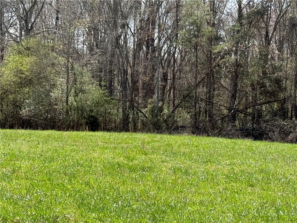 0 Holland Ford Road Pelzer, SC 29669 - Photo 4 of 35