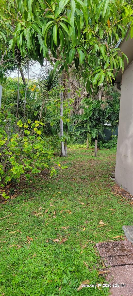 508 Southwest 8th Street Hallandale Beach, FL 33009 - Photo 7 of 12 west side of yard