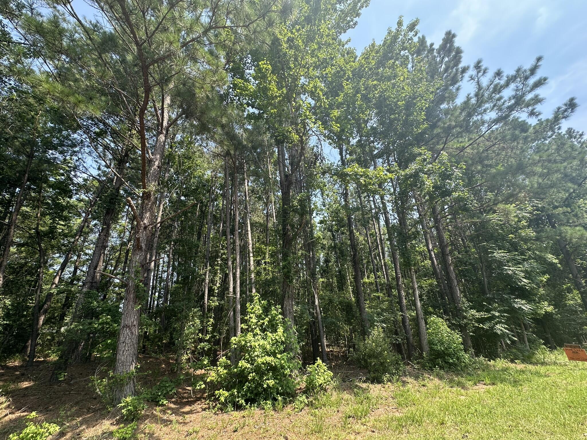 Lot 1 Ridge Road Appling, GA 30802 - Photo 4 of 9 IMG_0473