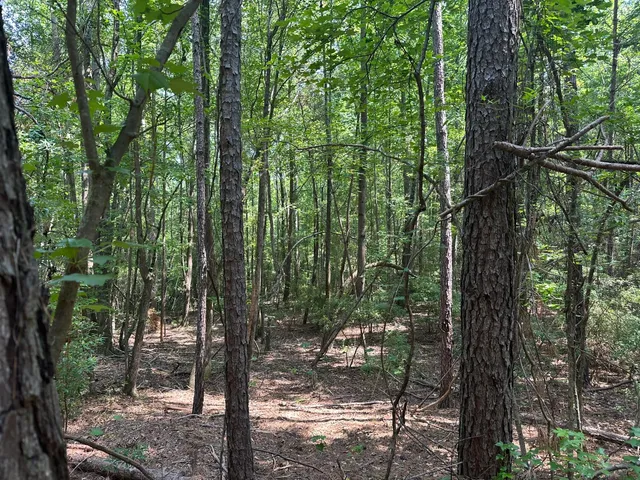 $134,000 | Lot 1 Ridge Road, Appling, GA 30802