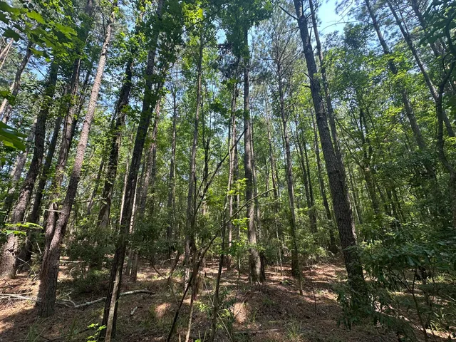 $134,000 | Lot 1 Ridge Road, Appling, GA 30802
