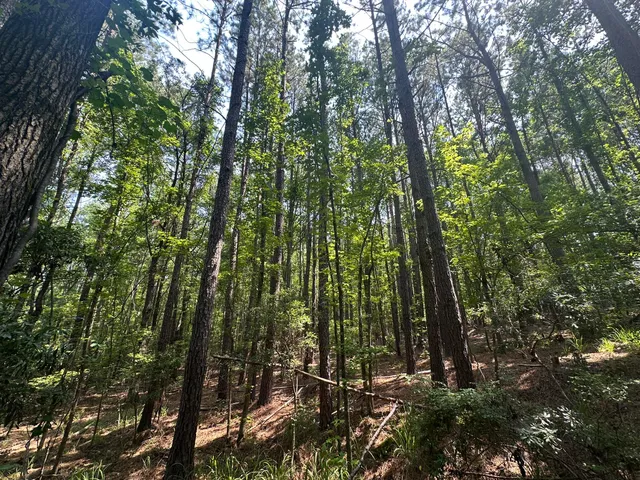$134,000 | Lot 1 Ridge Road, Appling, GA 30802