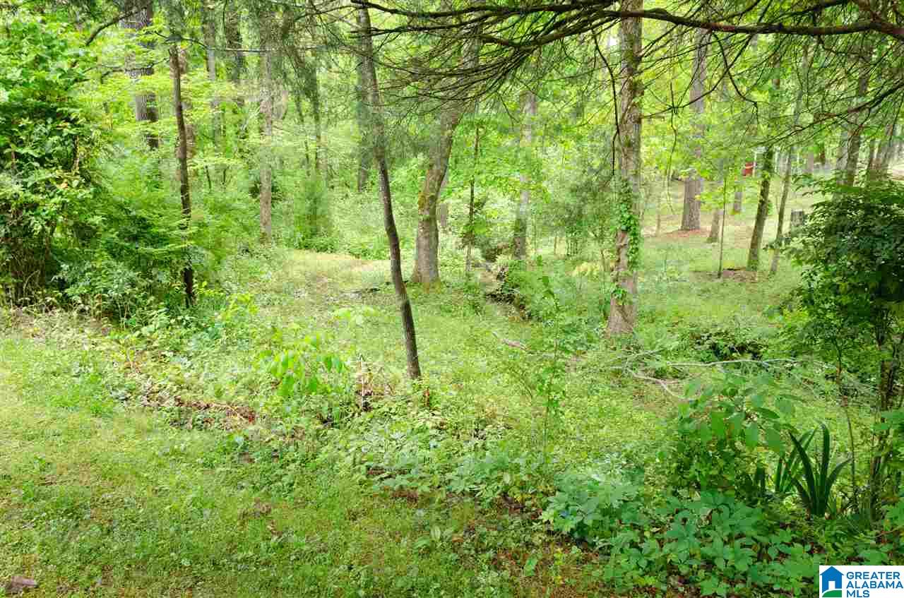 422 Skyview Trail Trafford, AL 35172 - Photo 31 of 31