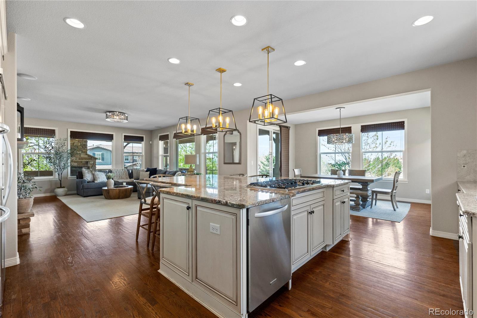 201 Maplehurst Point Highlands Ranch, CO 80126 - Photo 21 of 48