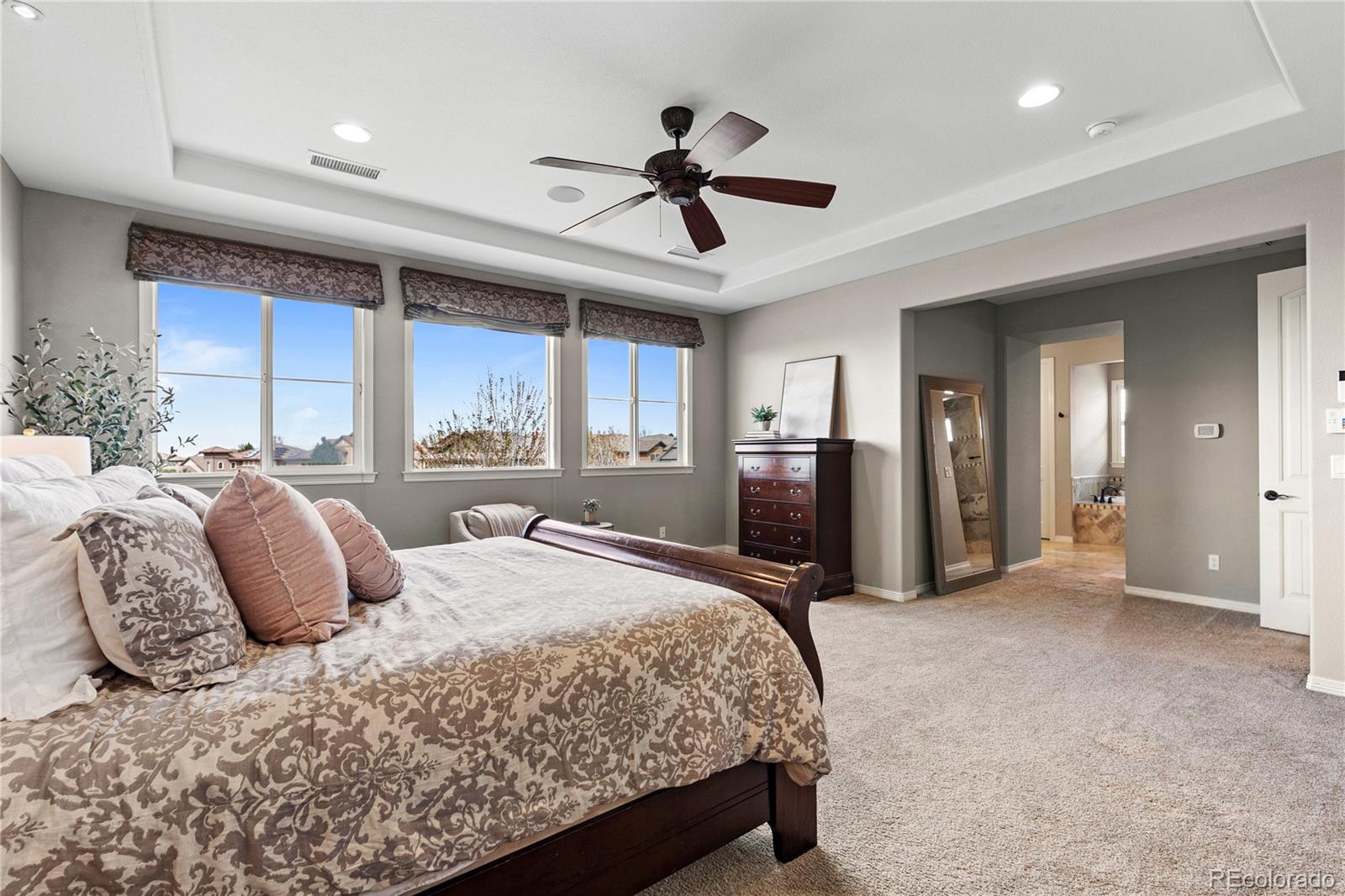 201 Maplehurst Point Highlands Ranch, CO 80126 - Photo 24 of 48
