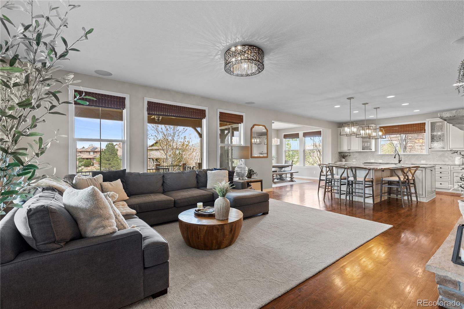 201 Maplehurst Point Highlands Ranch, CO 80126 - Photo 9 of 50