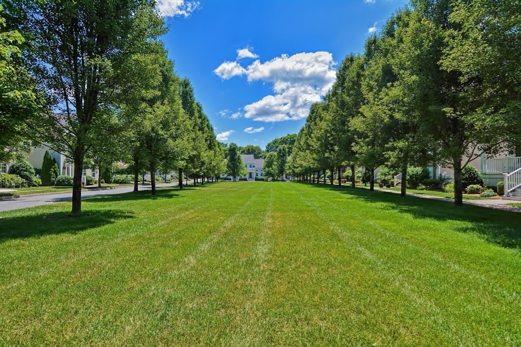 4 Maple Street, Unit 4 Medfield, MA 02052 - Photo 31 of 35