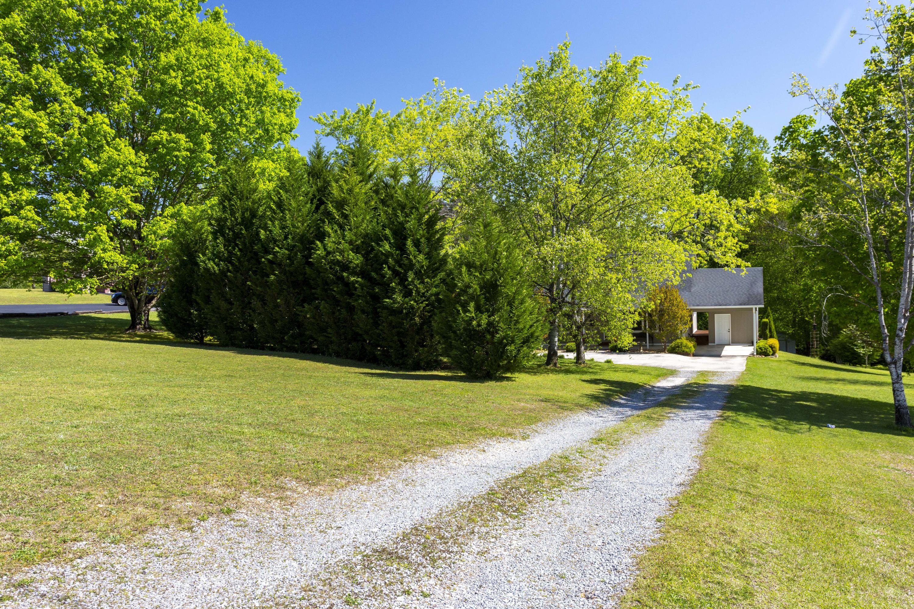 238 Powerline Road Spring City, TN 37381 - Photo 25 of 30 _00A9153