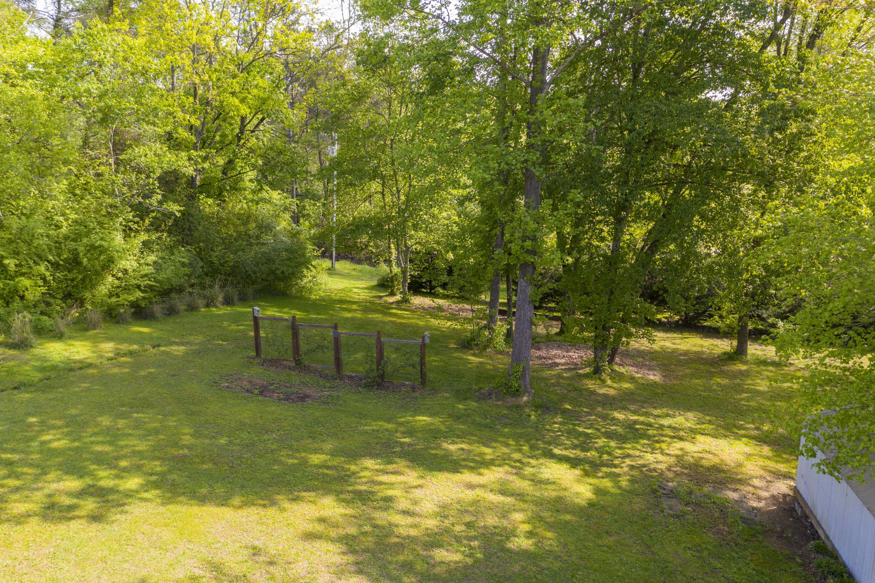 238 Powerline Road Spring City, TN 37381 - Photo 29 of 30 DJI_0801