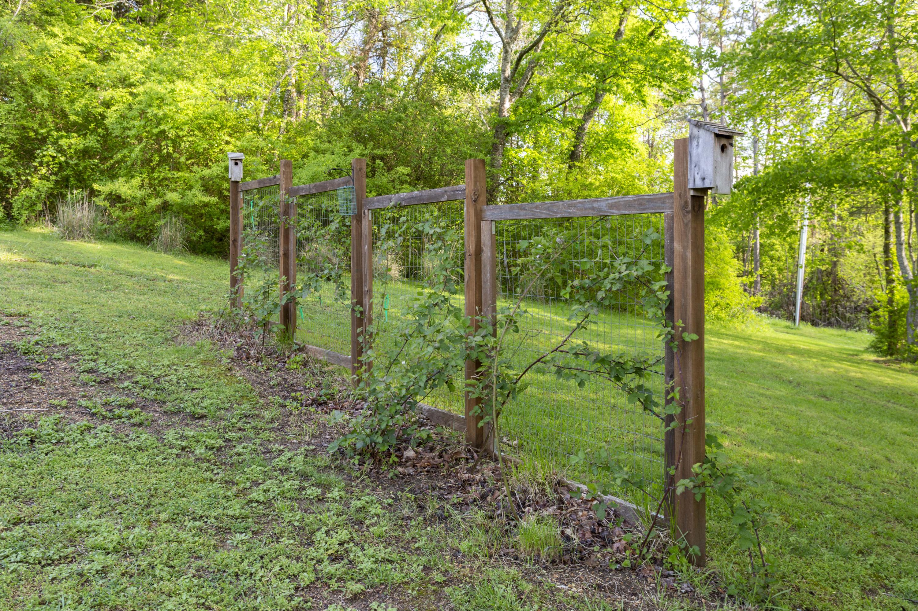 238 Powerline Road Spring City, TN 37381 - Photo 8 of 30 _00A9006