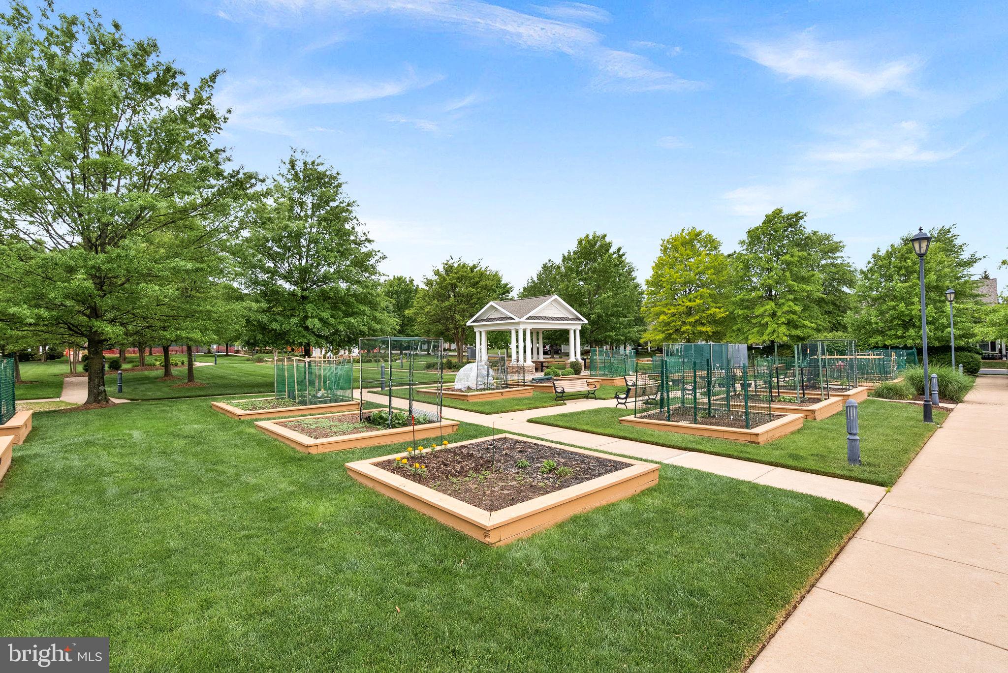 44424 Sunset Maple Drive Ashburn, VA 20147 - Photo 52 of 63 Community