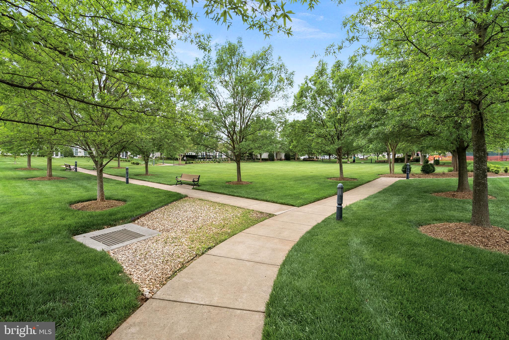 44424 Sunset Maple Drive Ashburn, VA 20147 - Photo 54 of 63 a view of a park with tree s