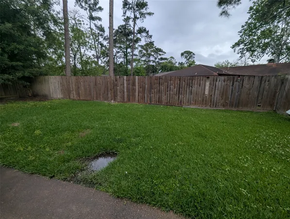 a view of a back yard