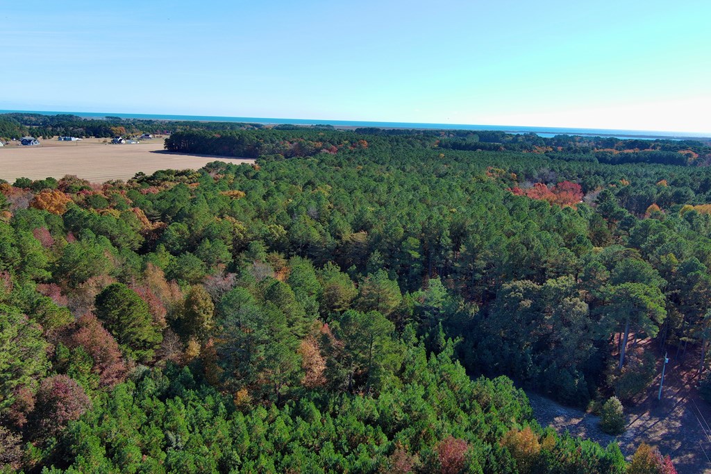Lot 131 Metompkin Road, Unit 131 Parksley, VA 23421 - Photo 5 of 12