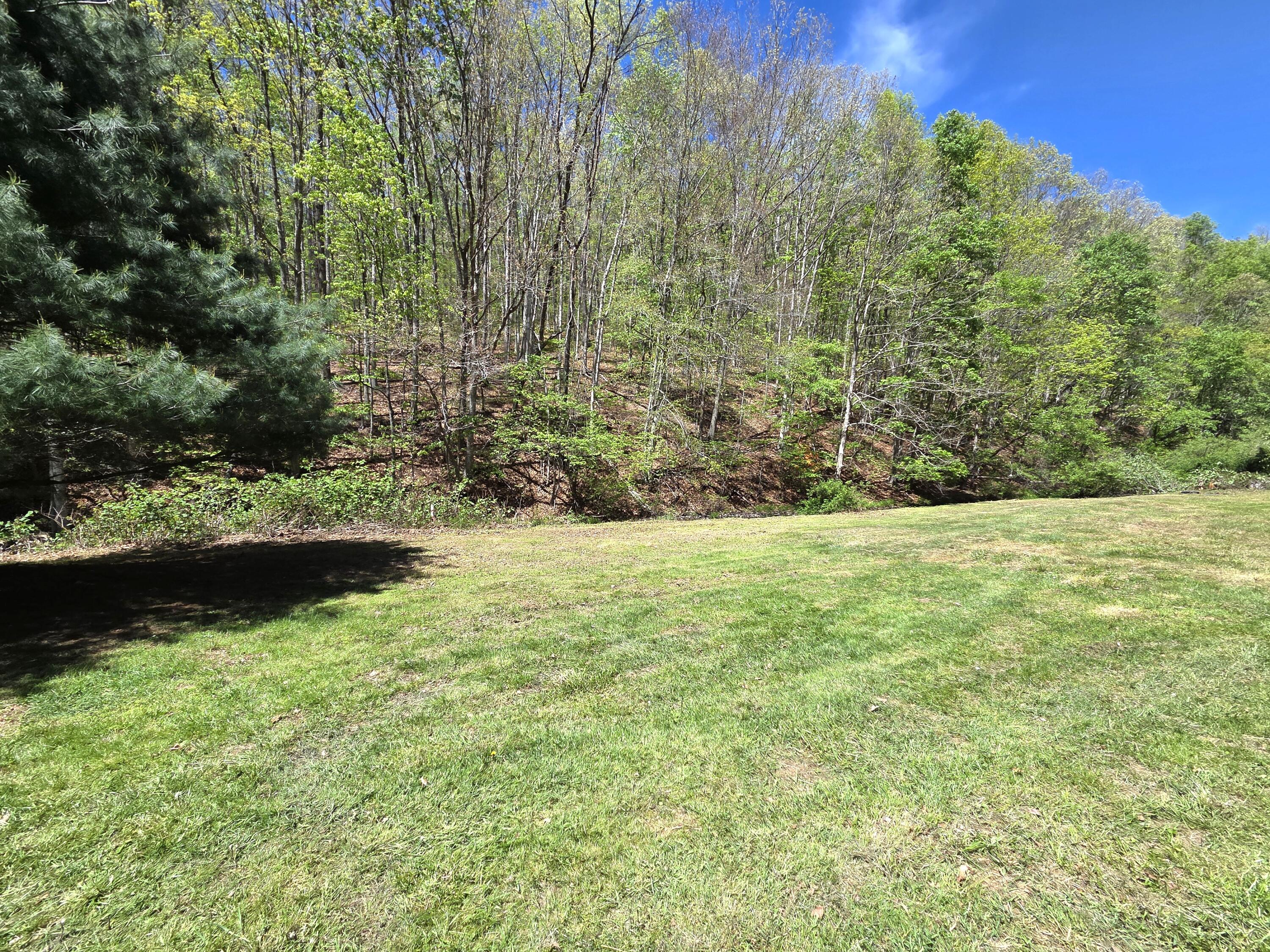 345 Panther Run Road Lindside, WV 24951 - Photo 18 of 31 Gallery Image 18