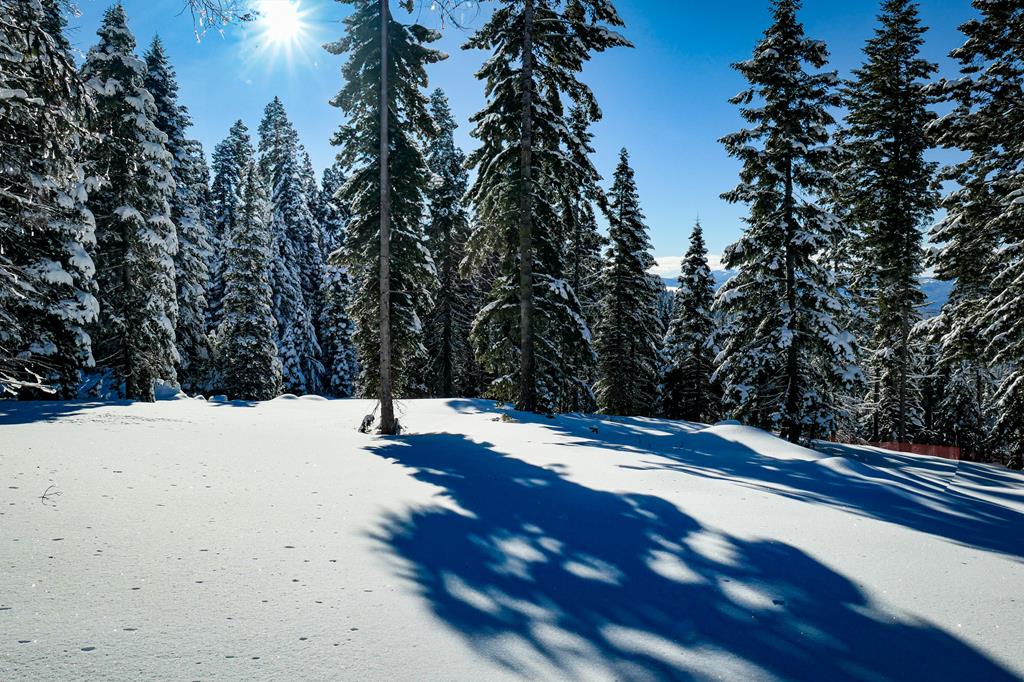 Lot 6 North Loop Road, Unit 6 New Meadows, ID 83654 - Photo 11 of 27