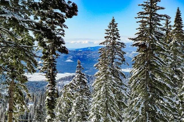 $1,250,000 | Lot 6 North Loop Road, Unit 6, New Meadows, ID 83654