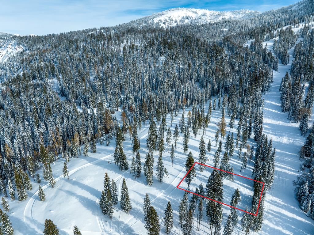 Lot 6 North Loop Road, Unit 6 New Meadows, ID 83654 - Photo 3 of 27