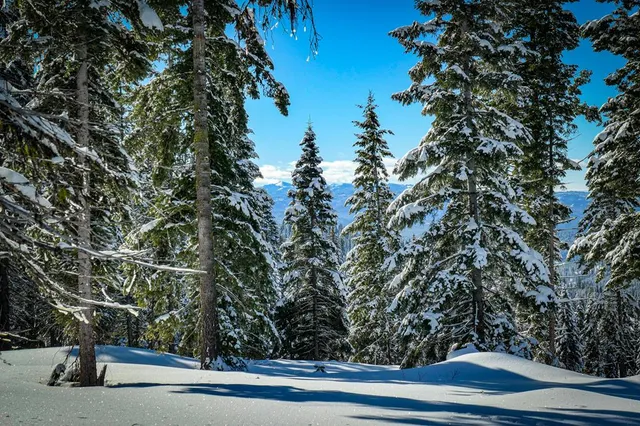 $1,250,000 | Lot 6 North Loop Road, Unit 6, New Meadows, ID 83654