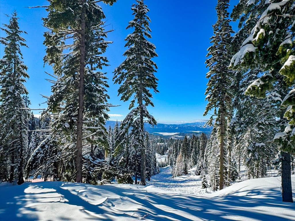 Lot 6 North Loop Road, Unit 6 New Meadows, ID 83654 - Photo 6 of 27 West