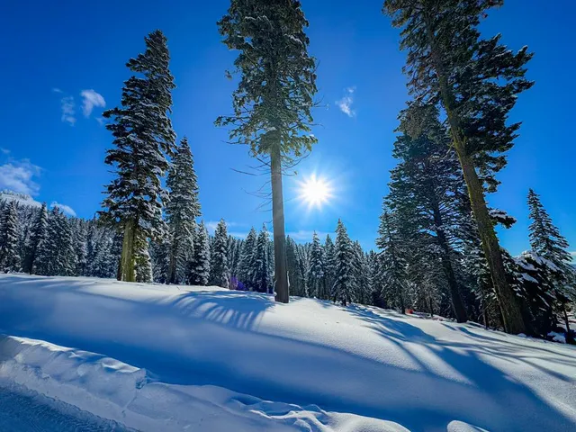 $1,250,000 | Lot 6 North Loop Road, Unit 6, New Meadows, ID 83654