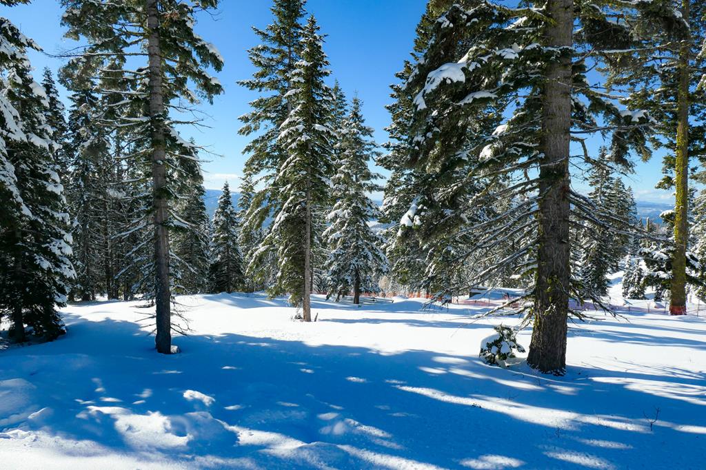 Lot 6 North Loop Road, Unit 6 New Meadows, ID 83654 - Photo 9 of 27