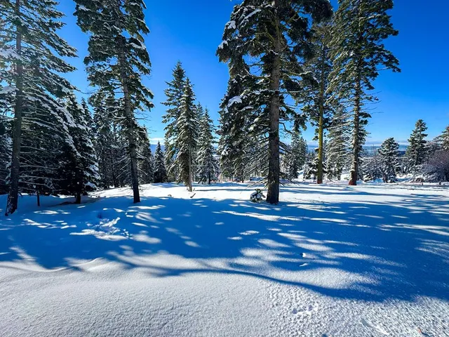 $1,250,000 | Lot 6 North Loop Road, Unit 6, New Meadows, ID 83654