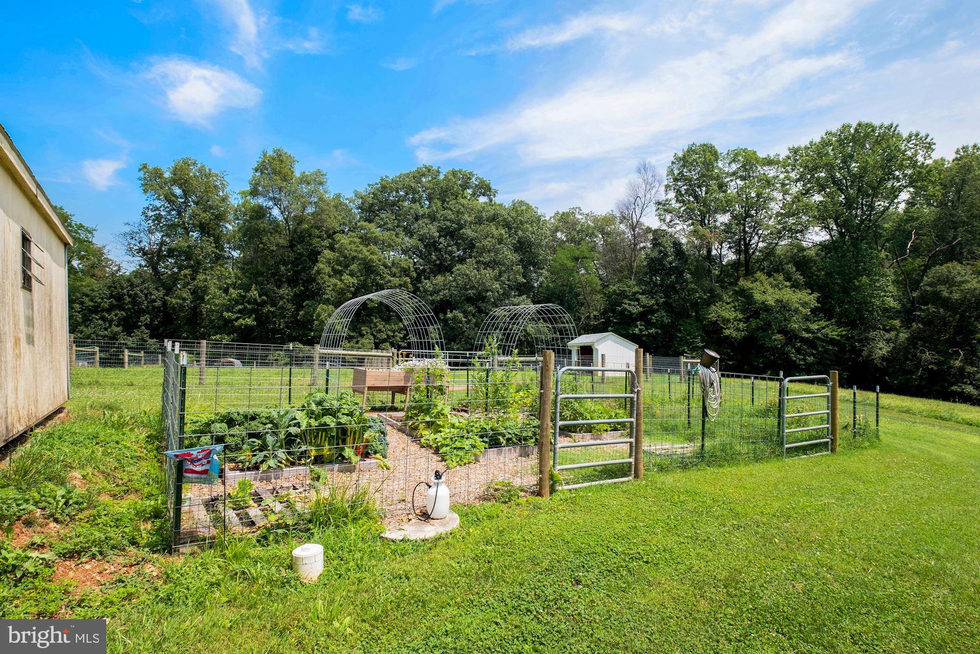 421 North Clear Ridge Road Union Bridge, MD 21791 - Photo 27 of 31 Garden
