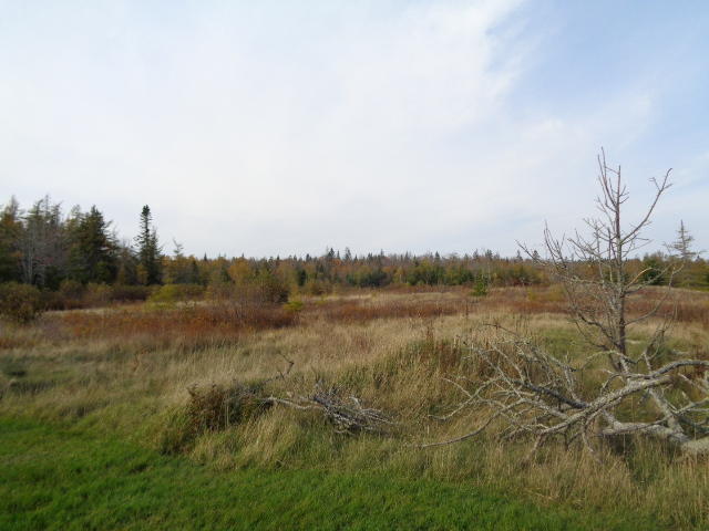 1003 Basin Road Addison, ME 04606 - Photo 11 of 39 DSC04229