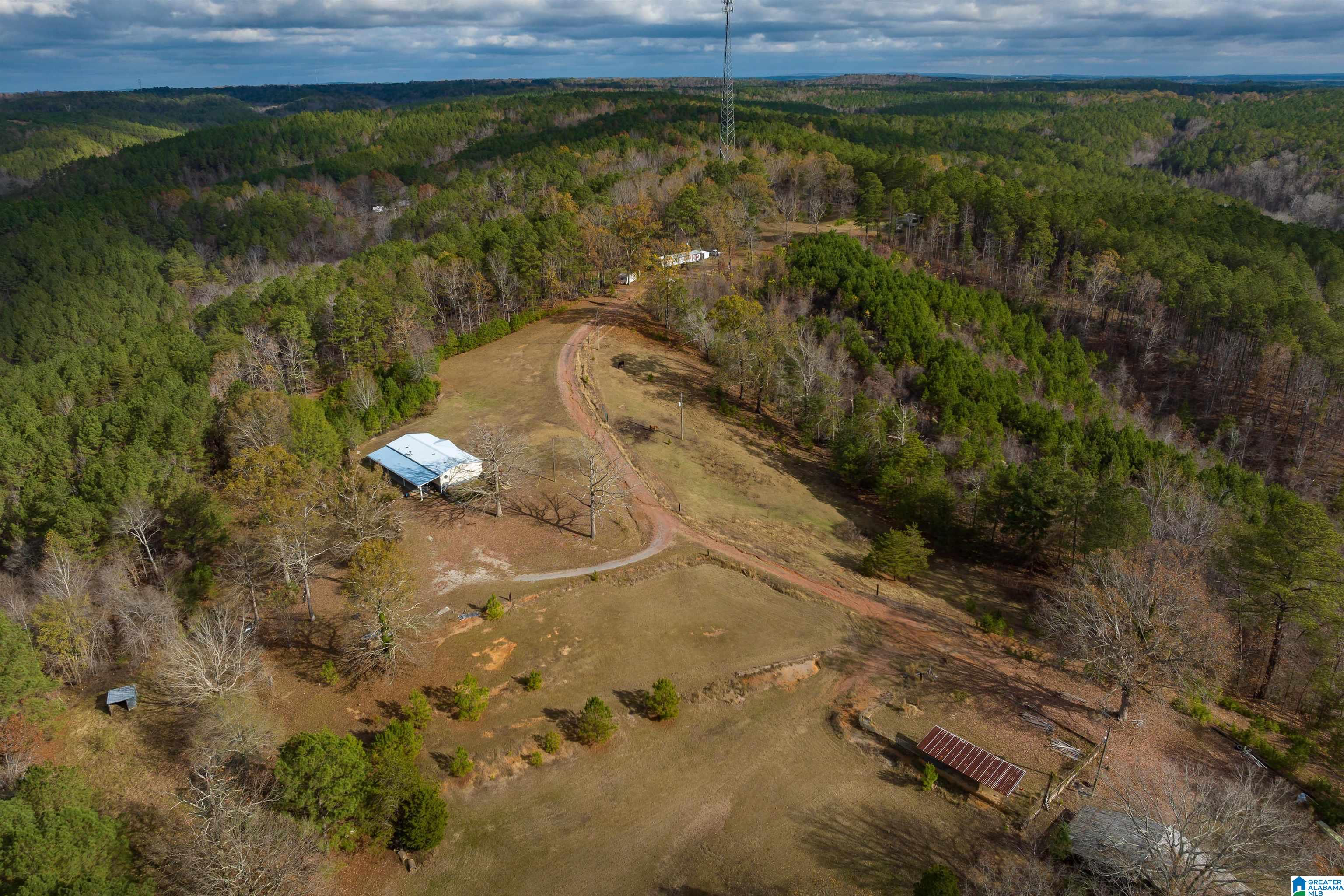 2930 Pridmore Road Quinton, AL 35130 - Photo 30 of 46