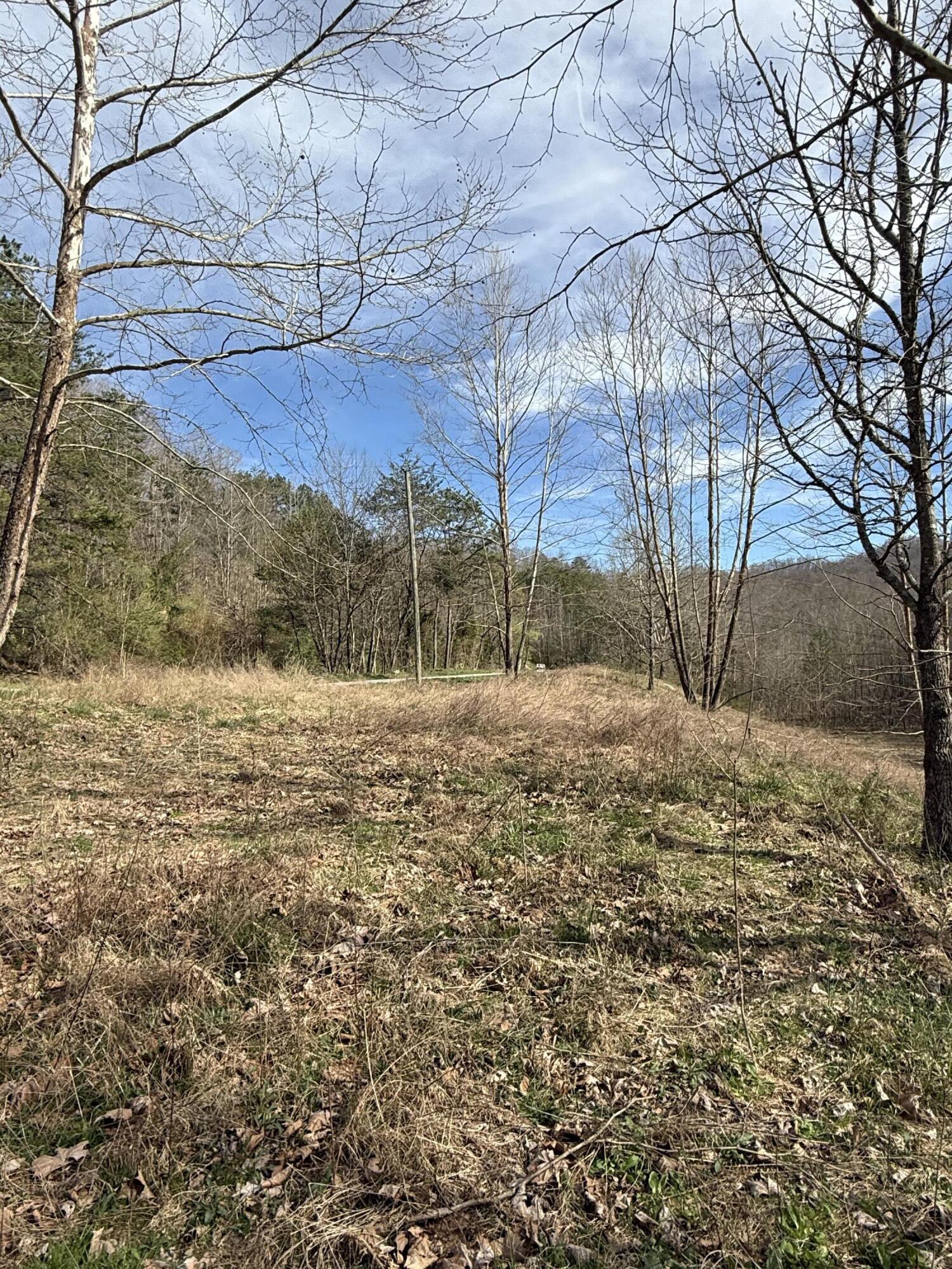 9999 Stone Cove Road Gray, KY 40734 - Photo 1 of 10 IMG_5938